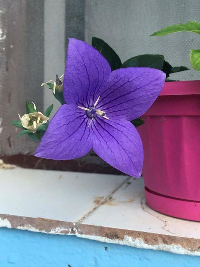 Appartamento Blu ليباري المظهر الخارجي الصورة
